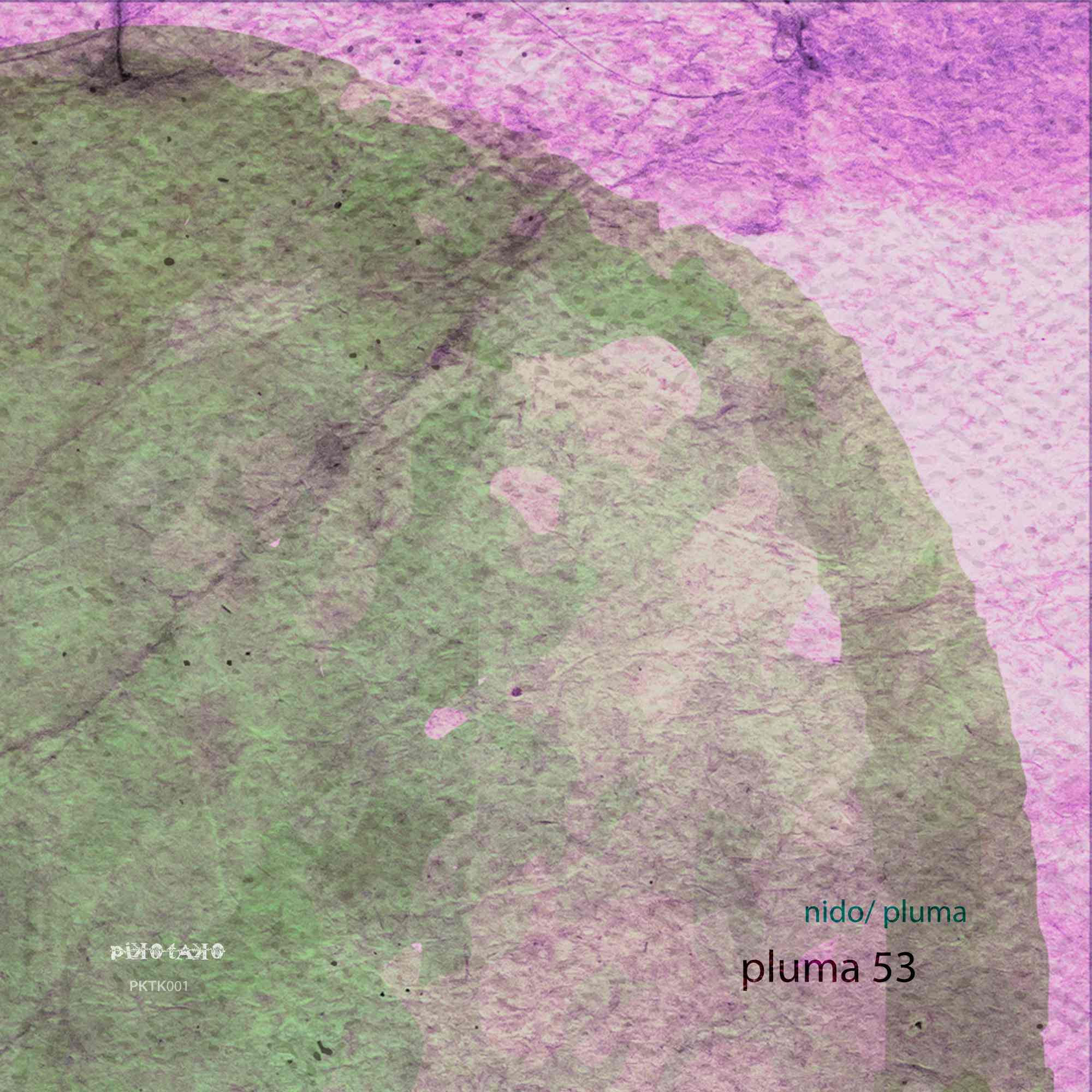 Resized Image