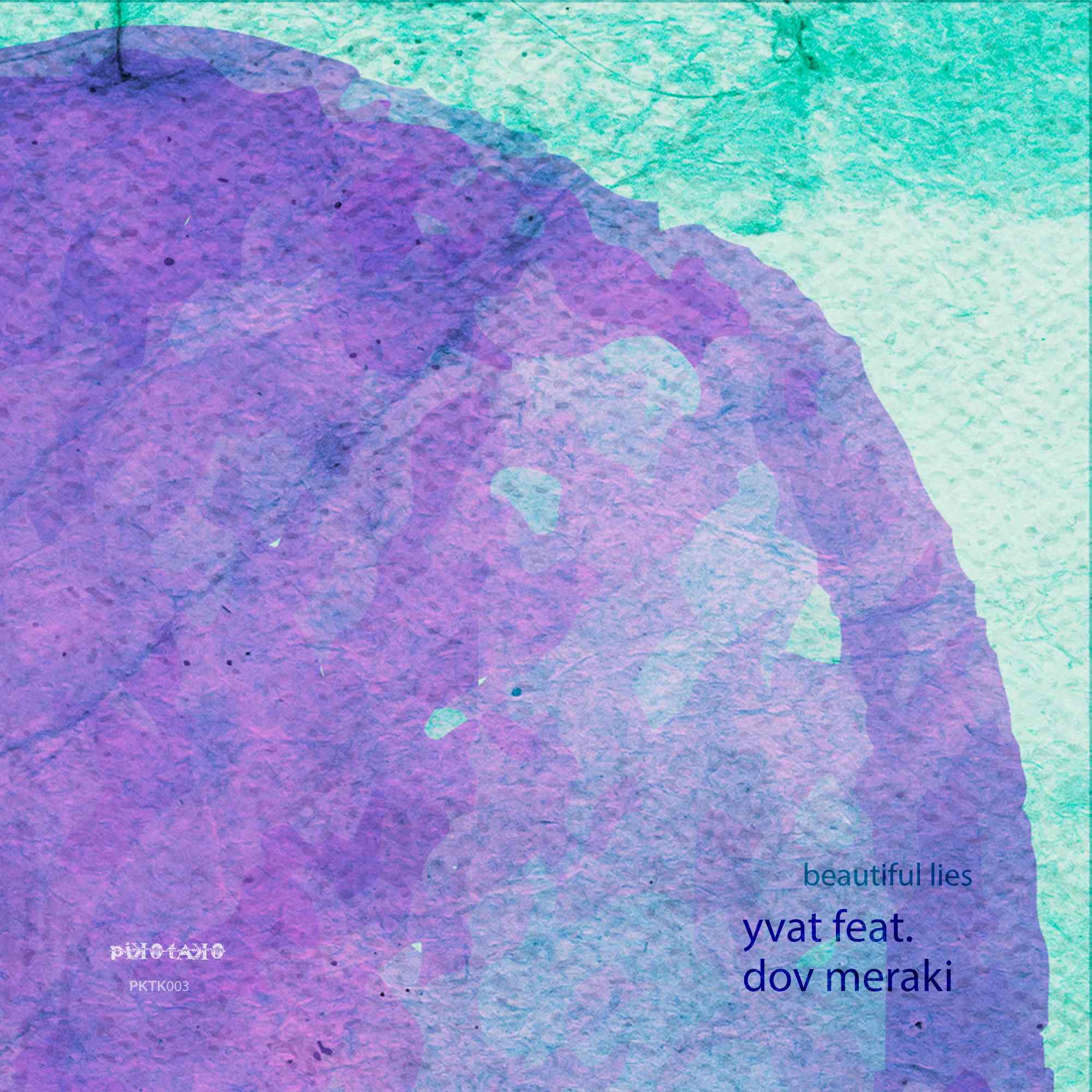 Resized Image