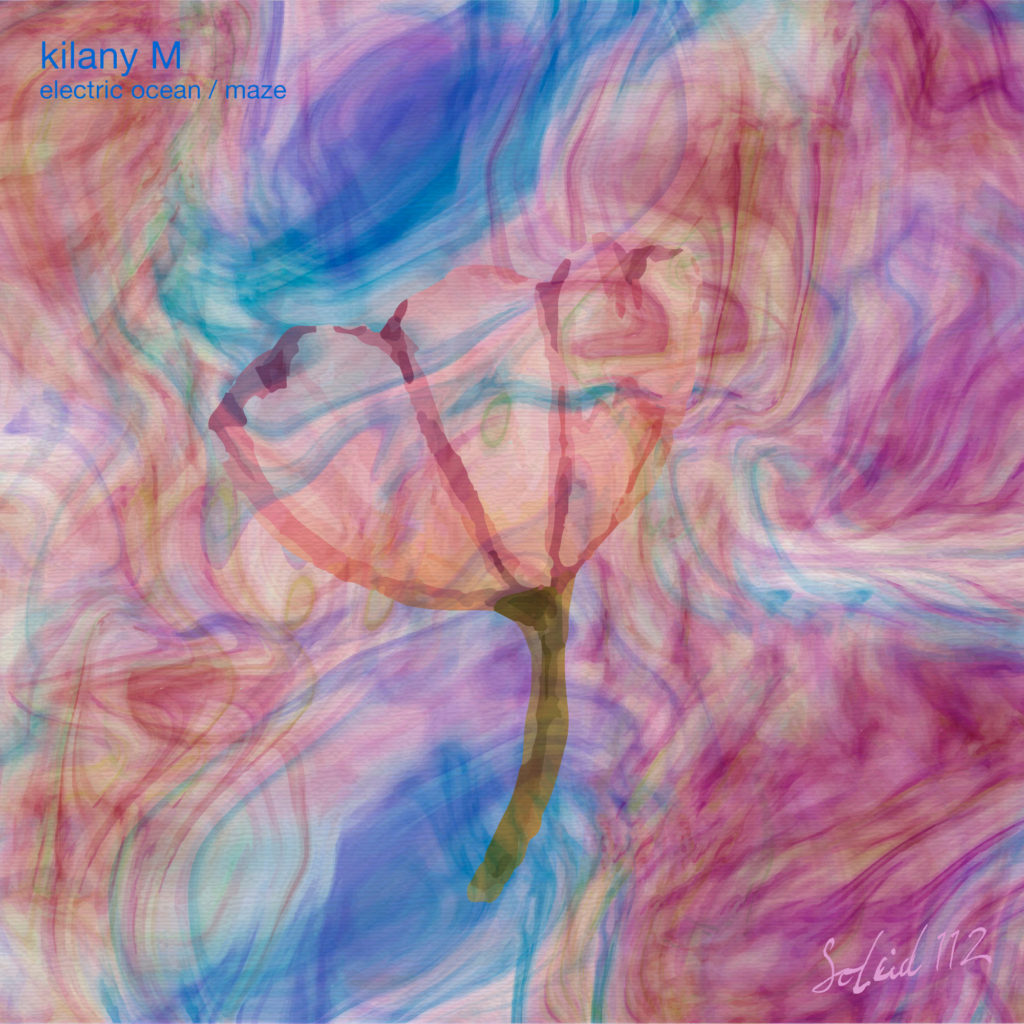SOLEID112