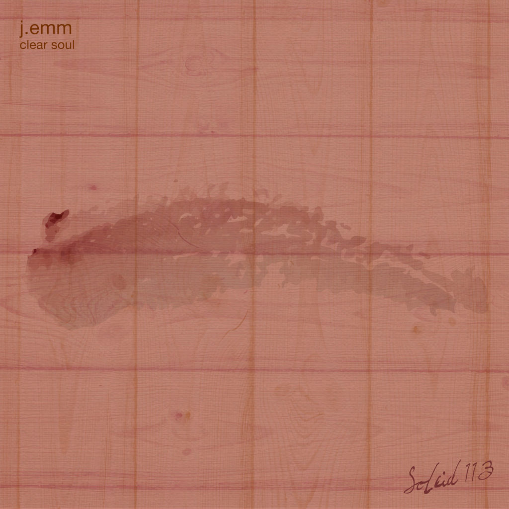 SOLEID113