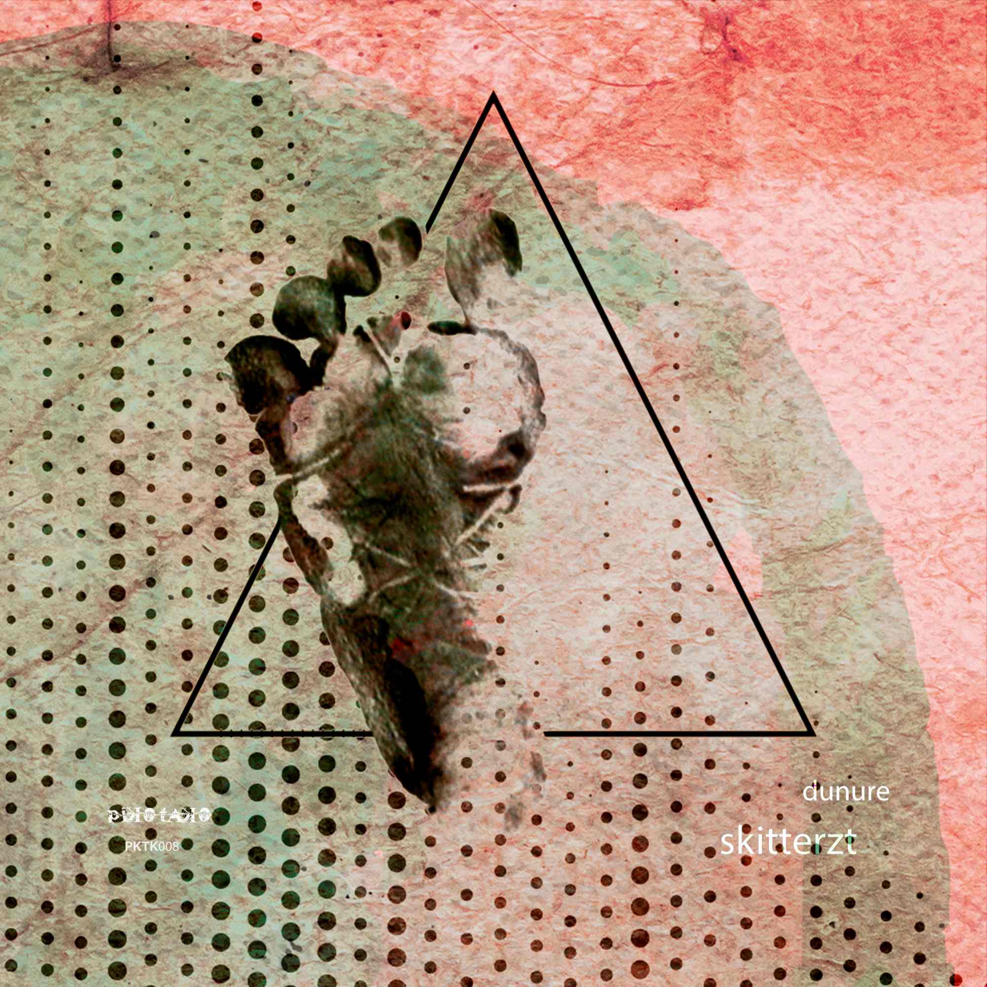 Resized Image